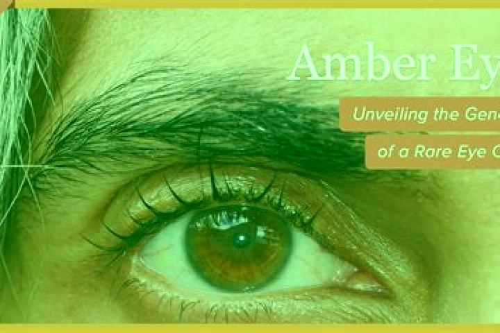 5 Diamond Plus online slot