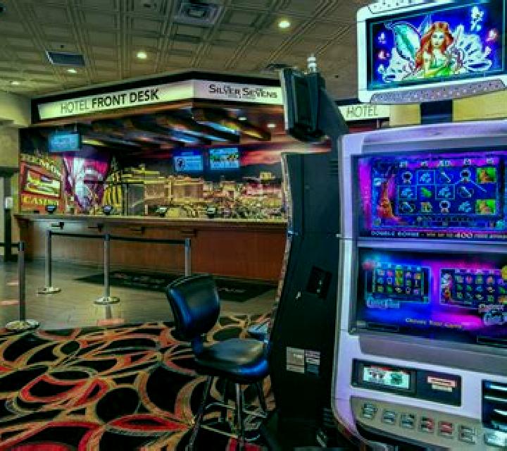 Ace Ventura (Playtech) slot game