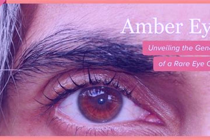 Brazil slot machine