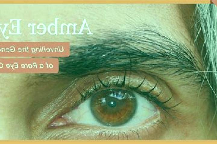 Bucharest Auto-Roulette (Evolution Gaming) slot game