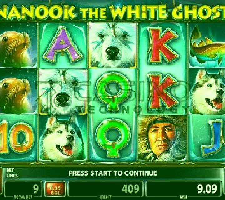 Cougar Gold slot game
