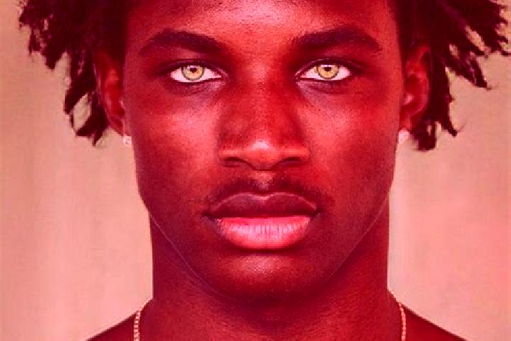 Cricket Loot Rush online slot