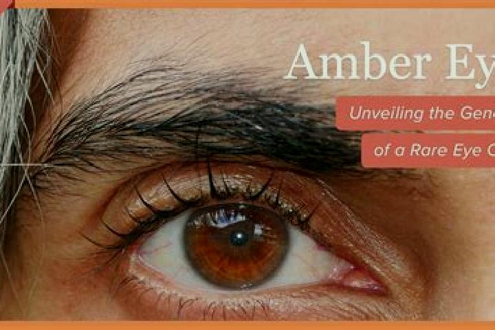 Fly! slot machine