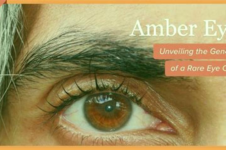Gods of Time slot machine