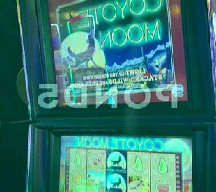 Jungle Tale slot game