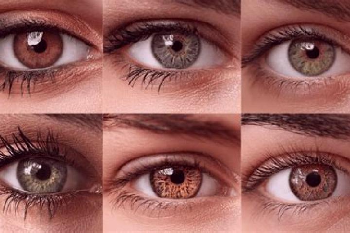 Outlaws Inc slot game