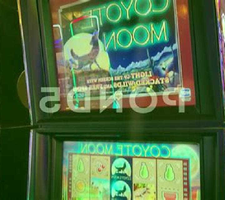 Ronin (RTG) online slot