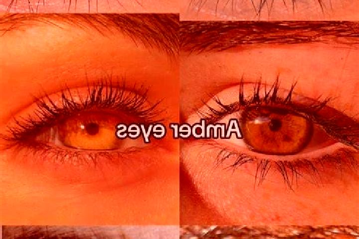 Viking Crown of Destiny slot game