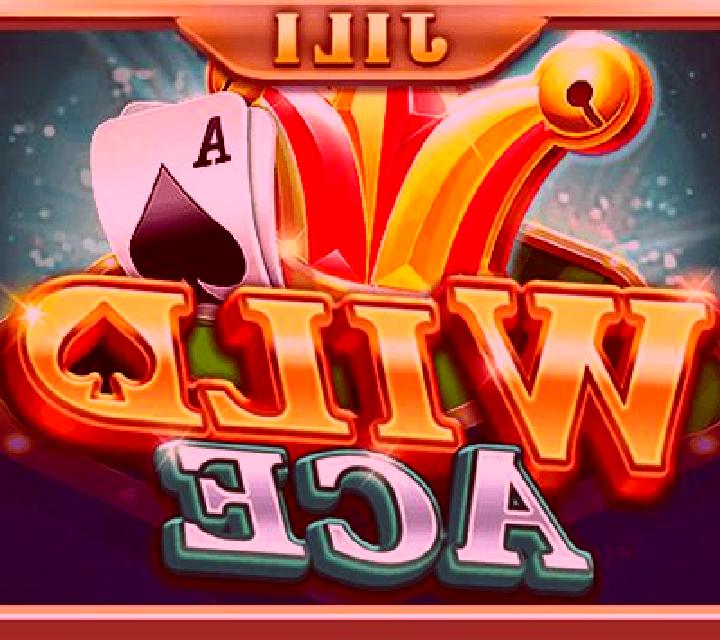 Wild Eagle Spins slot game